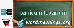 WordMeaning blackboard for panicum texanum